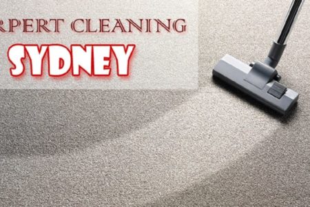 Many Carpet Cleaners in Perth Area Have Specialties