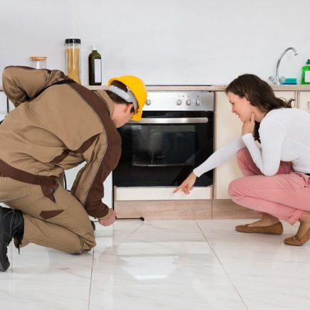 When to Hire A Pest Control Company?