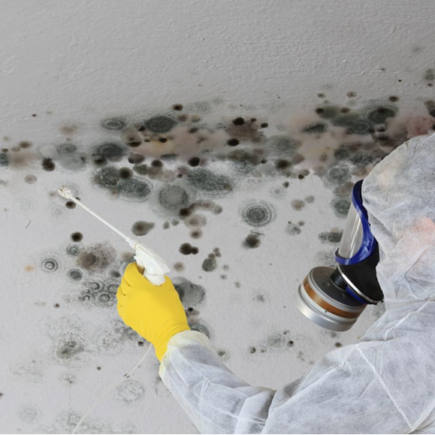 Water Damage Repair Services