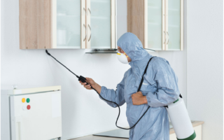 Pest Control Service: Things To Expect On The First Visit