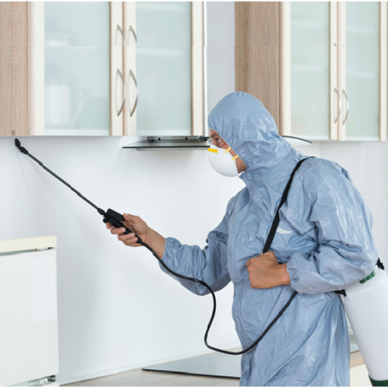 Pest Control Service: Things To Expect On The First Visit