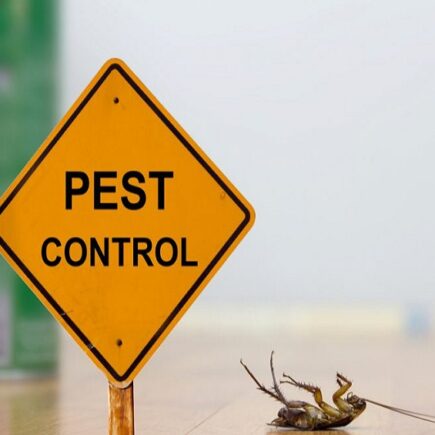 Pest Control Techniques