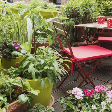 Patio With These 4 Great Options