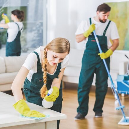 Cleaning service employees