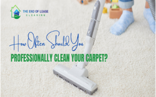 expert carpet cleaning services