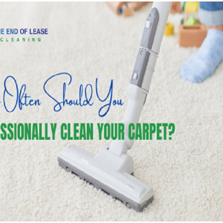 expert carpet cleaning services