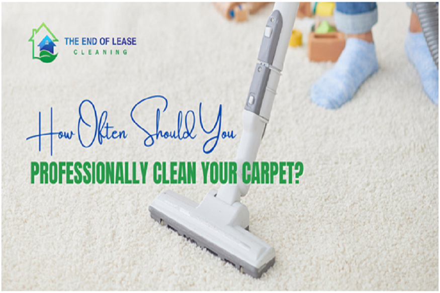 expert carpet cleaning services